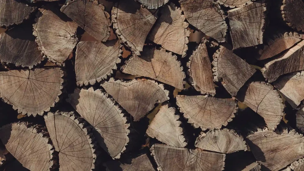 découvrez pourquoi choisir le chauffage au bois